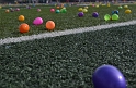 Kids_POPCS_EggHunt-2012 (6)